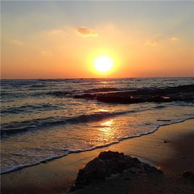 芒果体育官网入口