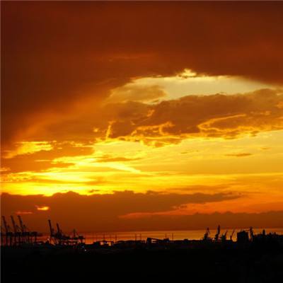 挑战你没玩过的植物大战僵尸3