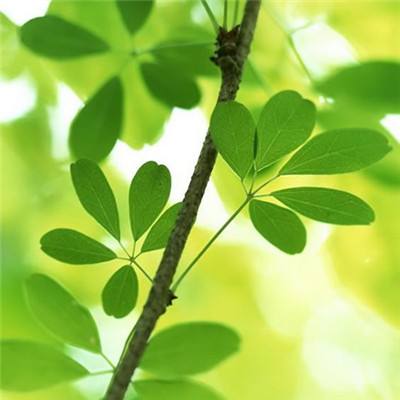 死神的使命无敌版