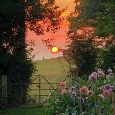 疯狂机械人2无敌版