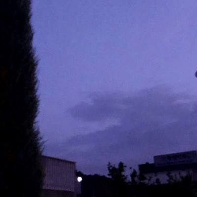 市场权衡美联储再度降息可能性，金价持稳