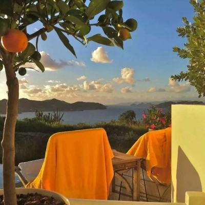 研究生真的不能通过短短几轮对话，摸清导师的真实水平吗？