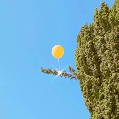 如何真正理解 c 语言的指针？