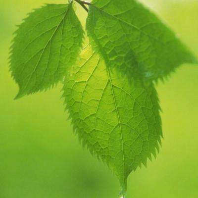 房间的秘密2:起点