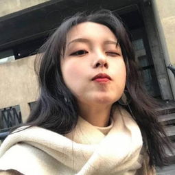 国际象棋:国王的冒险