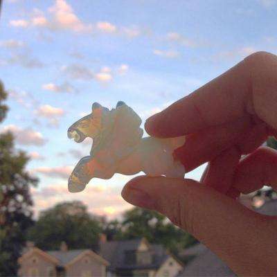 卡牌大师模拟器