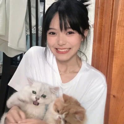 愤怒的小鸟挤兑猪