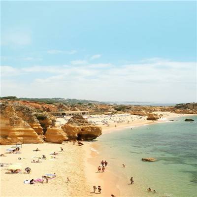 海绵宝宝赛车手