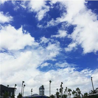 少年骇客警车追击2