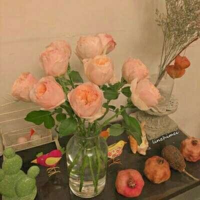 少年骇客之绿色能源