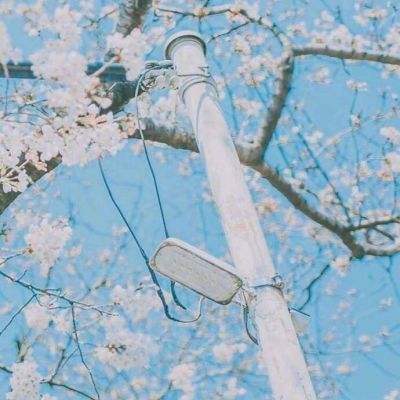 库博体育官方app下载