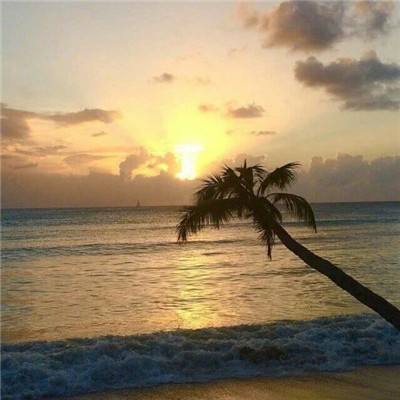 冬季大脚车过山地2