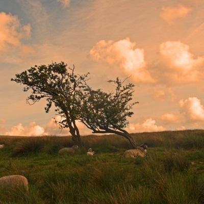 红色汽车公路狂飙