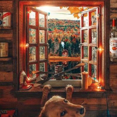 亿兆体育app官网入口