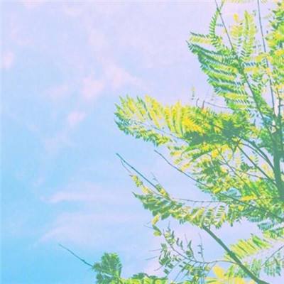 有哪些宫殿极其震撼？