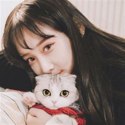 小学要求家长填写可提供社会资源