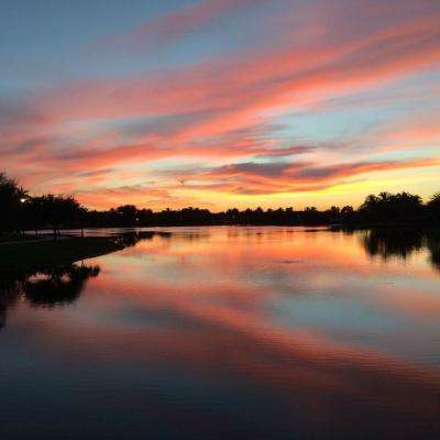 袁红英：坚持有效市场和有为政府相结合建设现代化产业体系