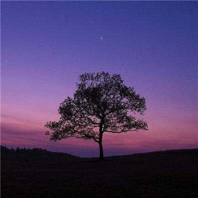 视频拍摄很成功，表演相当精彩