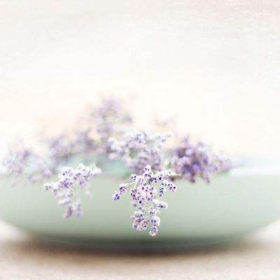 日本对华政策大辩论，石破茂的警告振聋发聩