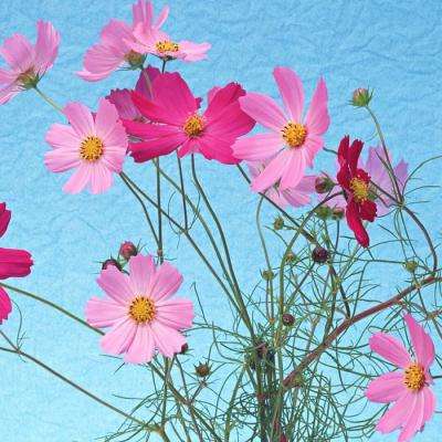 田亮带一双儿女去剑桥参观，16岁森碟打俩耳钉好酷