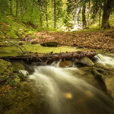 bd半岛·(中国)集团