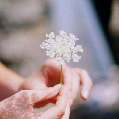 bd半岛·(中国)集团