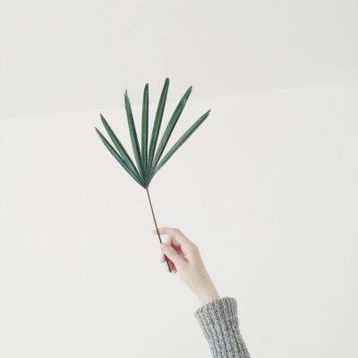 熟龄肌冬日护肤“肌”密：一瓶黛安蒂灵芝油，锁住年轻光采