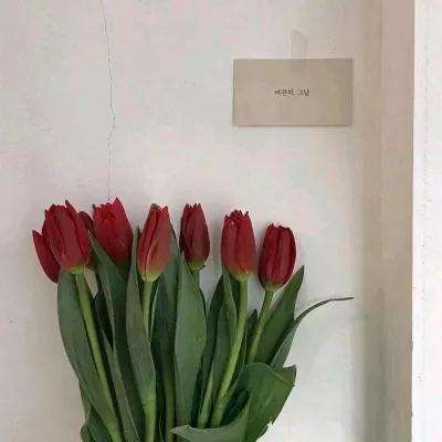 关于打卡写作这件事