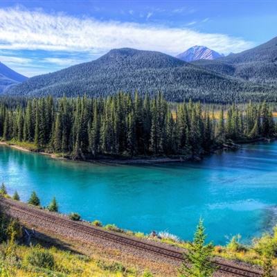 俄大使：泽连斯基解雇幕僚长，是为了掩盖自身贪腐