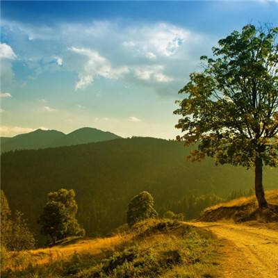 单人跳棋增强版