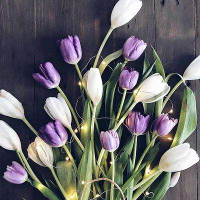 两度报价遭拒，江西铜业64亿海外买矿不顺