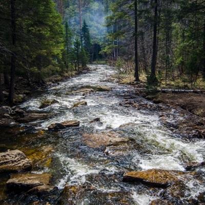 一位自称是好利科技前董秘助理的求职贴火了，从能独立介绍项目到六两茅台不失态，网友评论表示利好白酒