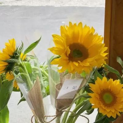 ob欧宝官网体育app