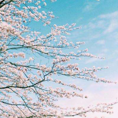 ob欧宝官网体育app