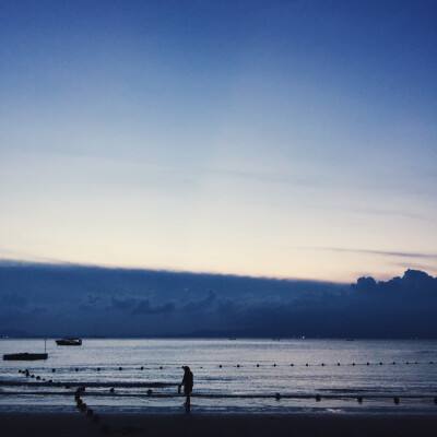 害虫猎人2无敌版