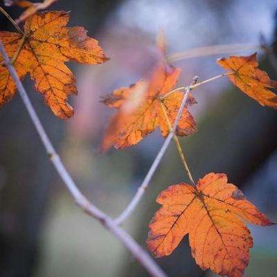 病毒狂潮2地下传送