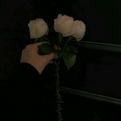 动物头像井字棋