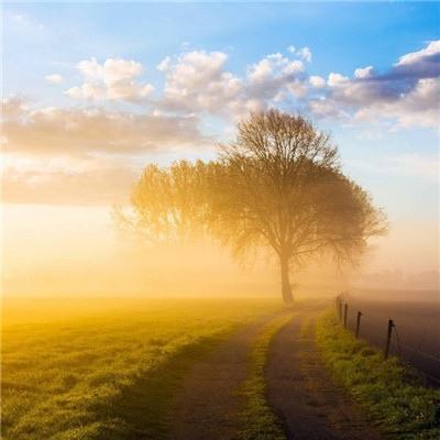 9UU有你有我足矣下载