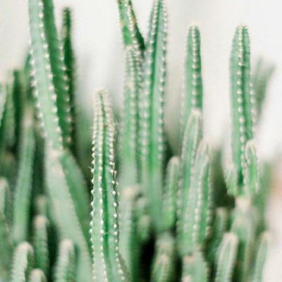 多多28下载软件下载