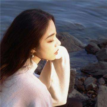 愤怒的小鸟开车