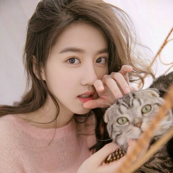 定点警车追击赛