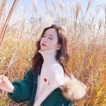 漂流者征服记无敌版